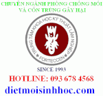 Kill Termites - Ciputra, Tay Ho Area - 093 678 4568 