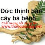 Cây Mật Nhân Tp. Ho Chi  Minh