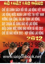 Download, Bo Luat Lao Dong Song Ngu Viet Anh 2012