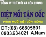 Cong Ty Diet Moi Tận Goc Nhanh Nhat