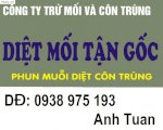 Diet Moi Tan Goc Va Nhanh Nhat Tai Quan 1,2,3,4,5,6,7,8,9,10,11,12