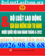 Bộ Luật Lao Động 2013, Chính Sách Tiền Lương, Năm 2013, Download