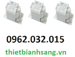 Chấn Lưu Philips Hid Bhl 1000L 300 Its 9137101095 Made In Holand