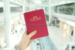 Zhumao Bán Các Loại Túi, Ví, Bao Hộ Chiếu Passport Đựng Giấy Tờ