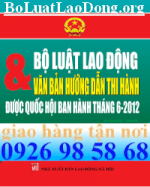 Sách Bộ Luật Lao Động Được Quốc Hội Ban Hành Năm 2012, Mới Nhất