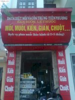 Diet Moi Nam Dinh- Phun Muoi