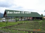 Tấm Lợp Sinh Thái Châu Âu