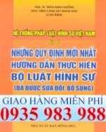 Sách Hệ Thống Pháp Luật Hình Sự Việt Nam 2013