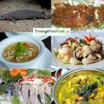 Bán Cá Tầm Tươi, Cá Tầm Sống  Tại Nam Định