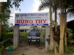 Hoa Kieng - Cay Kieng - Cơ Sở Hoa Kiểng Hùng Thy