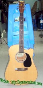 Bán Đàn Guitar Yamaha