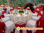 Cho Thuê Ghế Banquet Tiêu Chuẩn Khách Sạn 5 Sao