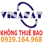 Chảo Vinasat - Lắp Chảo Vinasat  - Cần Thơ - Đồng Nai - Hcm