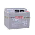 Ắc Quy Fiamm 12V 42Ah | Ắc Quy Fiamm 12 Sp 42 |  Ắc Quy Khô Kín Khí Fiamm Công Nghệ Italy Chuyên Dùng Cho Viễn Thông, Ups, Kích Điện, ...