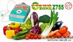 Máy Khử Độc Rau Quả Ozone Z755 - May Azone Khu Doc Z755