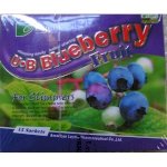 U-B Blueberry Fruit - Giảm Cân, Tiêu Mỡ Bụng Từ Quả Việt Quất Brazil