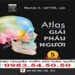 Atlas Giải Phẫu Người Của Frank H.netter