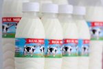 Sữa Bò Tươi Real Milk Www.suathat.com 100% Là Sữa
