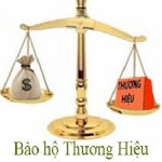 Công Ty Dịch Vụ Bảo Vệ Tistco Ủy Quyền Cho Văn Phòng Luật Newvision Xin Cấp Giấy