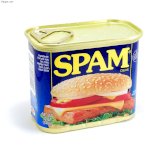Thịt Đóng Hộp Spam Classic (340G)