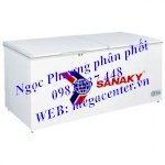 Tủ Đông Sanaky 400L-550L-650L-850L-1100L-1300L (Hai Nắp)