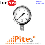 Đồng Hồ Tecsis|Tecsis- 100Mm Industrial Pressure Gauge Model P1778, 3/8&Quot;Bspt Bottom|Pitesco