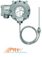 T990 Wise | Explosion Proof Type Indicating Temperature Switch Wise | Temperature Gauge Wise |Dong Ho Do Nhiet Do Wise | Pitesco Viet Nam