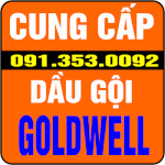 Dầu Xả Dưỡng Màu Color Conditioner Goldwell , Dầu Hấp Dưỡng Màu Chuyên Sâu (Deep Reflects Treament Goldwell