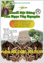 Mua Chuối Hột Rừng Tại Tp.hcm - Đặc Sản Tây Nguyên