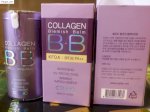 Phấn Nền 3 Trong 1   Collagen Bb Cellio