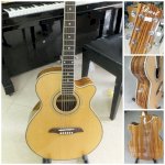 Đàn Guitar Acoustic Dart Wsc- F440