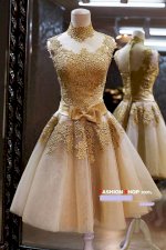 Váy Xinh Shop Chuyên Sỉ Lẻ Đầm Xòe Sang Trọng