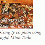 Diet Moi Nguyen Chi Thanh