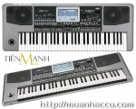 Đàn Korg Pa900 - Professional Arranger Keyboard Pa 900