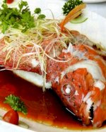 Các Món Cá Hấp, Cuốn Ăn Ở Đâu Giá Rẻ Tại Tphcm