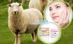 Kem Dưỡng Da Nhau Thai Cừu Placenta Cream Costar Australia