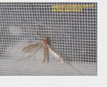Lưới Inox Chống Muỗi, Lưới Inox Chắn Côn Trùng