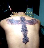 Hình Xăm Đôi Cánh, Hoa Văn Lông Vũ, Lông Chim Liên Quan Đôi Cánh - Wings Tattoo