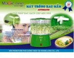 Máy Làm Rau Mầm Magic One Hình Bông Hoa Mg 81 Cực Rẻ Giá 750K - 0936817419