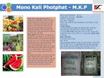 Mono Kali Photphat - M.k.p.  Phân Bón Hoàng Việt.