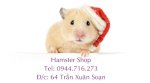 Chuột Hamster Giá Bao Nhiêu