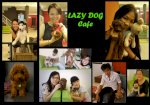 Lazy Dog - Cafe Thú Cưng, Relax Tuyệt Vời Cho Mọi Người