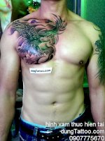 Chuyen Xam Buom Hoa Van Chu Ca Chep Tattoo 3D Nghe Thuat