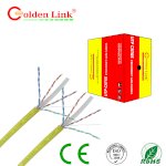 Pp Cable Mạng Golden Link
