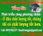 Tong Dai Dien Thoai Binh Duong