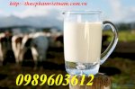 Bán Sữa Bò Tươi Sạch - Nguyên Chất Làm Váng Sữa Cho Các Bé