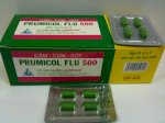Prumicol Flu 500 - Thuốc Hạ Sốt, Giảm Đau, Cảm Cúm