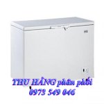 Phân Phôi Đại Lí Cấp 1 Tủ Đông Electrolux Ecm2100Wa - 218 Lít Chính Hãng