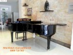 Cần Bán Đàn Piano Cơ Dành Cho Biểu Diễn Nhà Hát Lớn ( Grand Piano ) Giá 135 Triệu