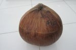 Vỏ Trái Dừa Khô Giữ Ấm Bình Trà